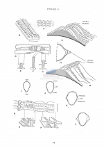 Rhips carenata