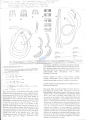 Nematoda (roundworms)