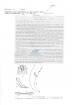 Nematode file-library of the Marine Biology Section (Ghent University, Belgium)