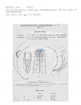 Paracanthonchus longicaudatus