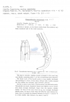 Nematode file-library of the Marine Biology Section (Ghent University, Belgium)
