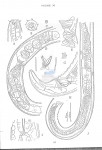 Nematode file-library of the Marine Biology Section (Ghent University, Belgium)