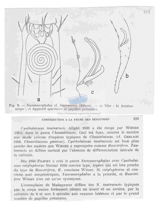 Pomponema tautraense