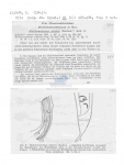 Nematode file-library of the Marine Biology Section (Ghent University, Belgium)