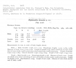 Nematode file-library of the Marine Biology Section (Ghent University, Belgium)