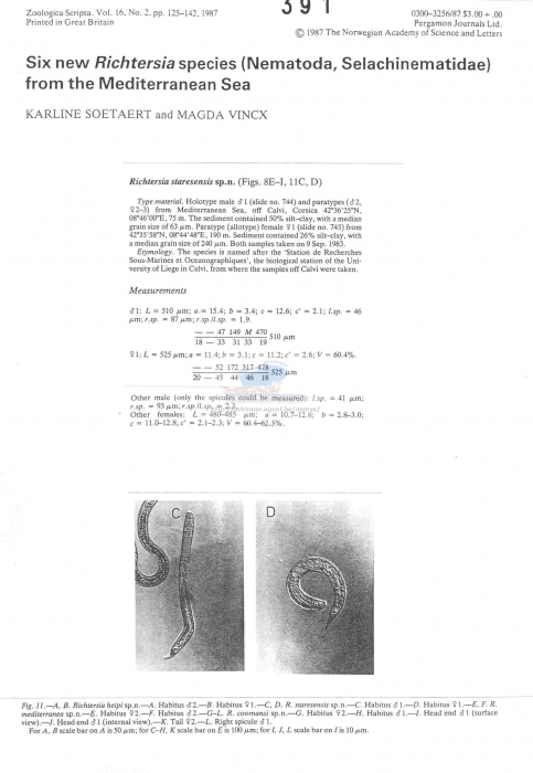 Richtersia staresensis