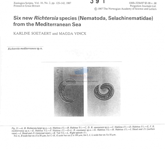 Richtersia mediterranea