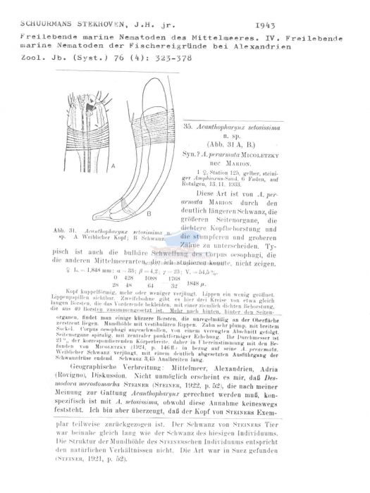 Acanthopharynx setosissima