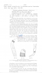 Nematode file-library of the Marine Biology Section (Ghent University, Belgium)