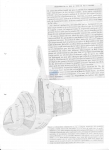Nematode file-library of the Marine Biology Section (Ghent University, Belgium)