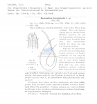 Desmodora tenuicauda