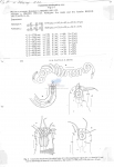 Nematode file-library of the Marine Biology Section (Ghent University, Belgium)