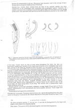 Nematode file-library of the Marine Biology Section (Ghent University, Belgium)