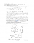 Leptonemella sigma