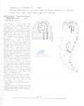 Nematode file-library of the Marine Biology Section (Ghent University, Belgium)