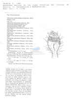 Draconema ophicephalum