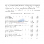Nematode file-library of the Marine Biology Section (Ghent University, Belgium)
