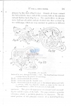 Nematode file-library of the Marine Biology Section (Ghent University, Belgium)
