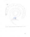 Nematoda (roundworms)