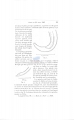 Nematoda (roundworms)