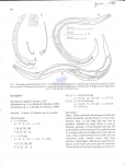 Nematode file-library of the Marine Biology Section (Ghent University, Belgium)