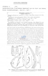 Nematode file-library of the Marine Biology Section (Ghent University, Belgium)