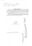 Nematode file-library of the Marine Biology Section (Ghent University, Belgium)