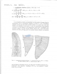 Haliplectus bibulbosus