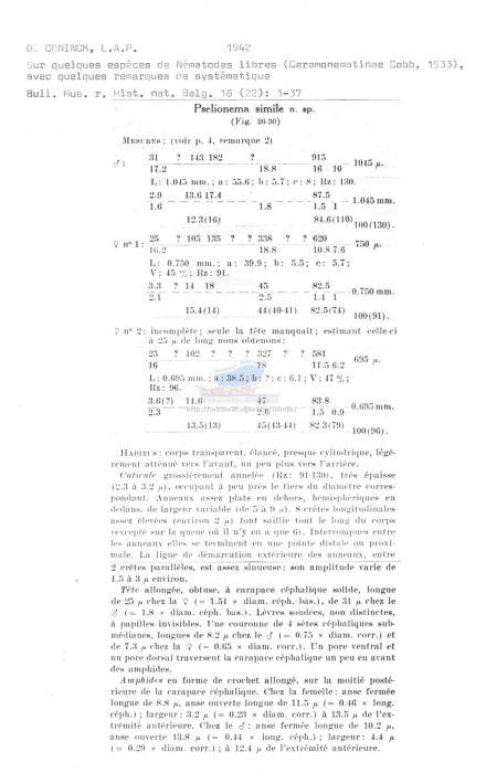 Pselionema simile