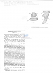 Nematode file-library of the Marine Biology Section (Ghent University, Belgium)