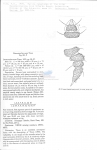 Nematode file-library of the Marine Biology Section (Ghent University, Belgium)