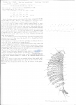 Nematode file-library of the Marine Biology Section (Ghent University, Belgium)