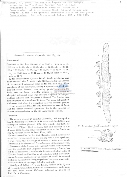 Desmoscolex minutus