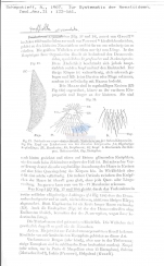 Publication snippets