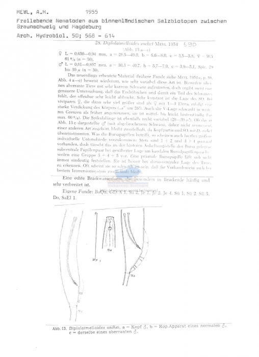 Diplolaimelloides oschei