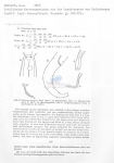 Nematode file-library of the Marine Biology Section (Ghent University, Belgium)