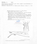 Nematode file-library of the Marine Biology Section (Ghent University, Belgium)