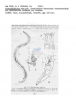 Nematode file-library of the Marine Biology Section (Ghent University, Belgium)