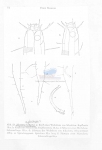 Nematode file-library of the Marine Biology Section (Ghent University, Belgium)