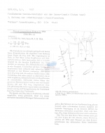 Steineria parapolychaeta