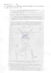 Nematode file-library of the Marine Biology Section (Ghent University, Belgium)