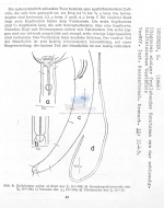 Doliolaimus agilis