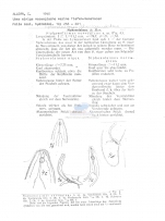 Siphonolaimus obtusicaudatus