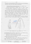 Nematode file-library of the Marine Biology Section (Ghent University, Belgium)