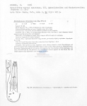 Metalinhomoeus retrosetosus