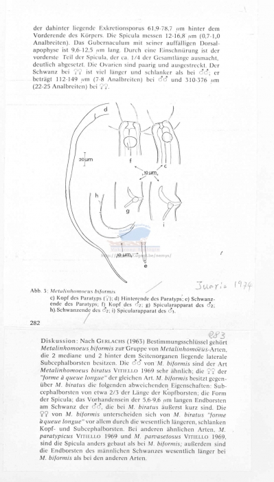 Metalinhomoeus biformis