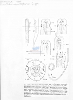 Paralinhomoeus lepturus