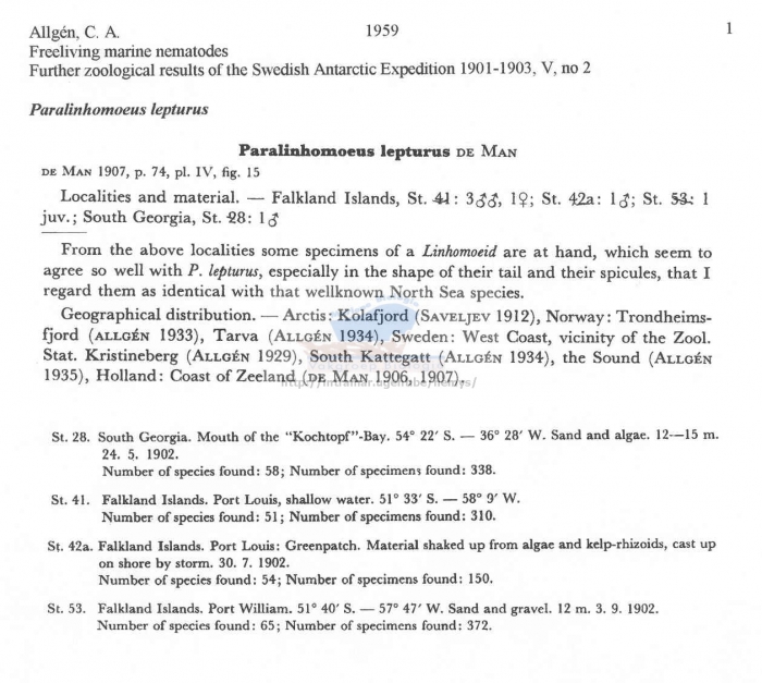 Paralinhomoeus lepturus