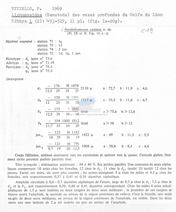 Paralinhomoeus caxinus