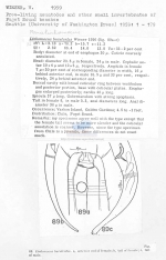 Paralinhomoeus buculentus